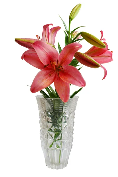 Mazzo di gigli in vaso — Foto Stock