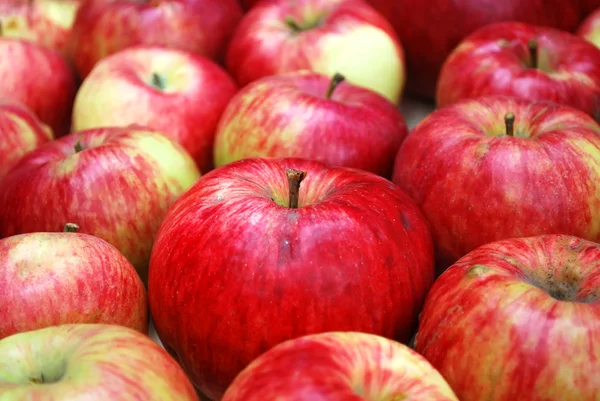 Manzanas —  Fotos de Stock