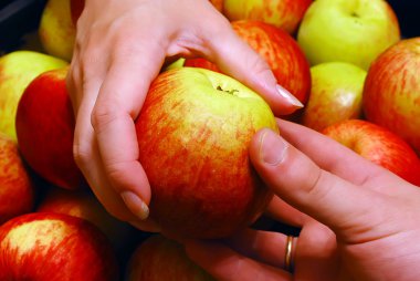 Apple From Hand to Hand clipart