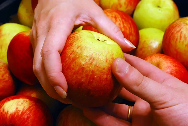 Äpple från hand till hand — Stockfoto