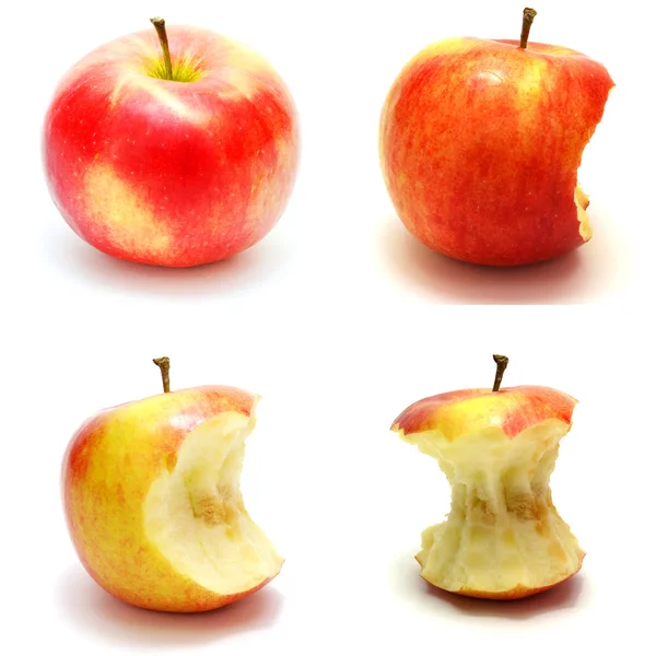 Kern des Apfels — Stockfoto
