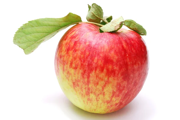 Einzelnen roten Apfel — Stockfoto