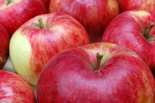 Manzanas Multitud Primer plano —  Fotos de Stock