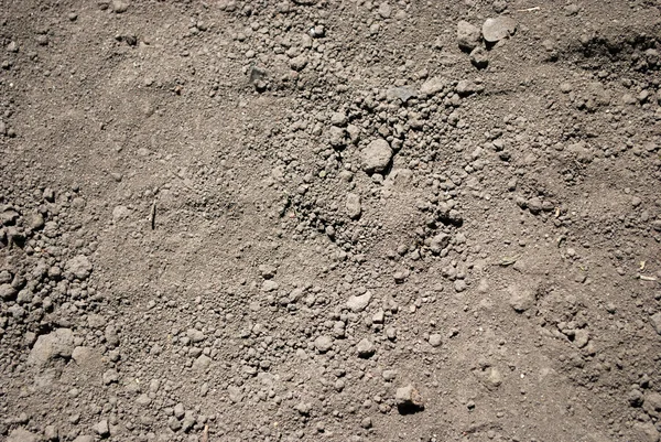Textura del suelo Imagen de archivo