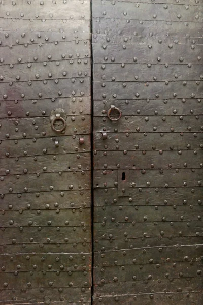 ประตูเหล็ก — ภาพถ่ายสต็อก