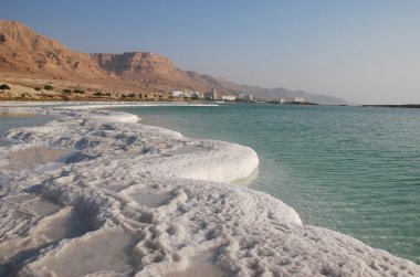 Dead Sea coast clipart