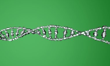 DNA