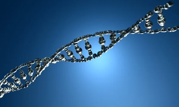 DNA — Stockfoto