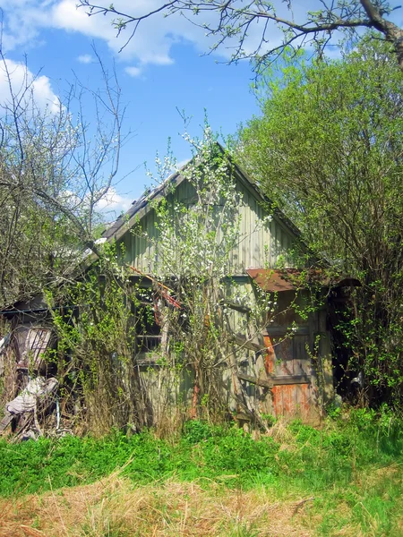 Antiga quinta de madeira — Fotografia de Stock