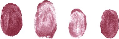 Fingerprints clipart