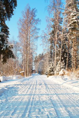 Winter Road clipart