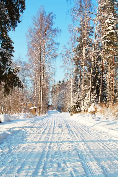 Strada invernale — Foto Stock