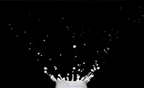 Splash de leite Imagens Royalty-Free