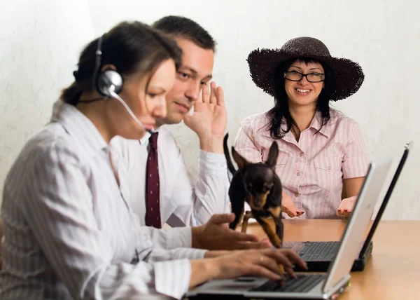 Office workers with laptops and a dog — Stock Photo, Image