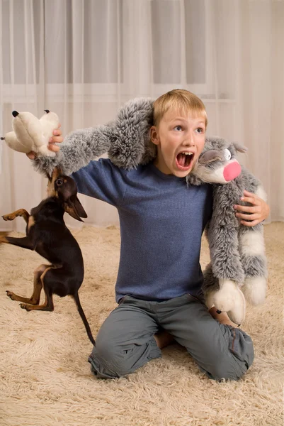Excited kid with a toy and a dog on the — Stock Photo, Image