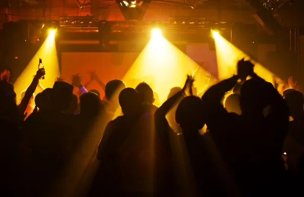 Concert crowd — Stock Photo, Image