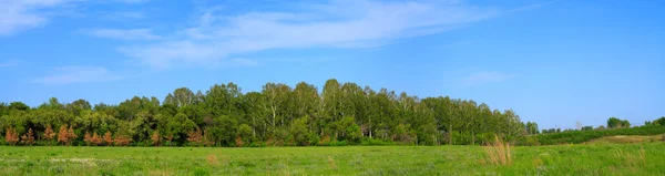 Panorama of a field before a wood — Stock Photo, Image