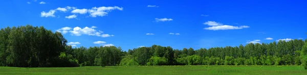 Літня панорама Стокова Картинка