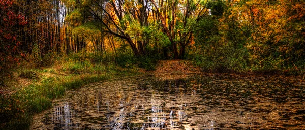 Stock image Lake of mermaids