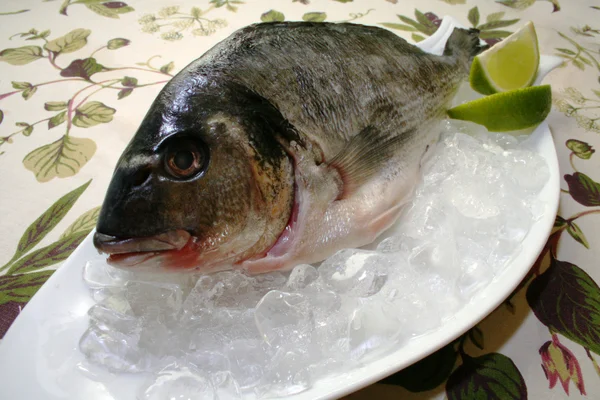 Свіжа риба — стокове фото
