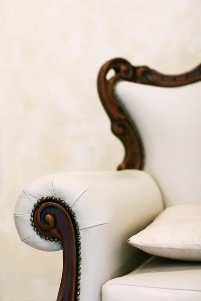 Fotel skóra — Zdjęcie stockowe