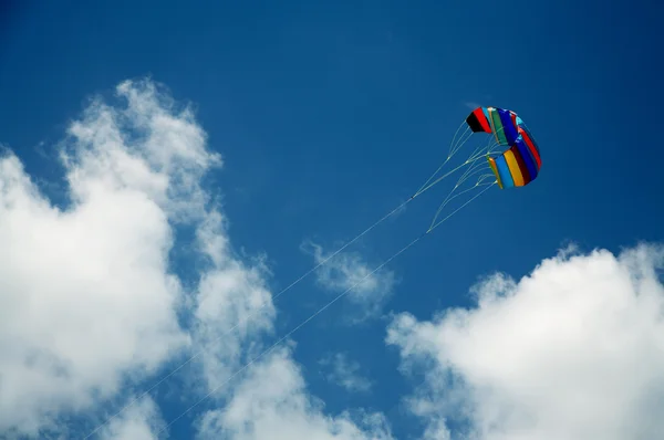 stock image Kite