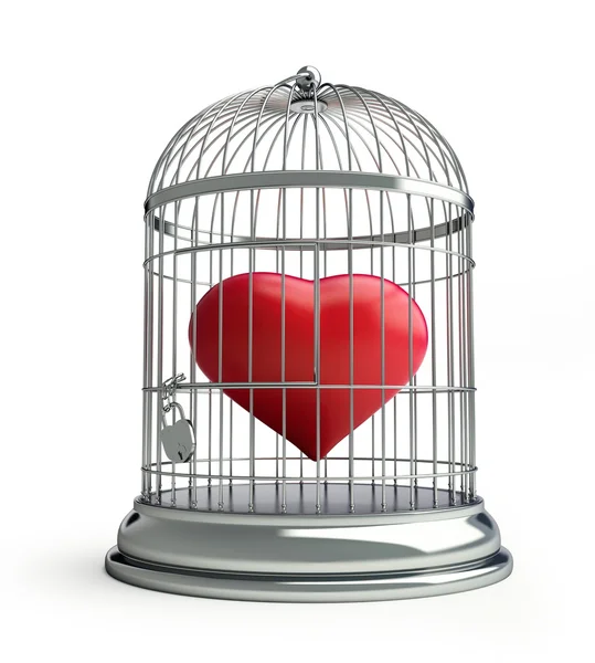 Cage heart — Stock Photo, Image
