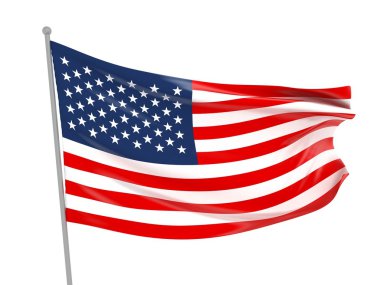 USA National Flag