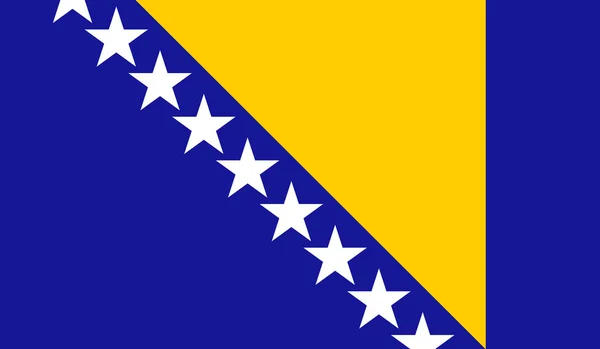 波斯尼亚和黑塞哥维那国旗 — 图库矢量图片