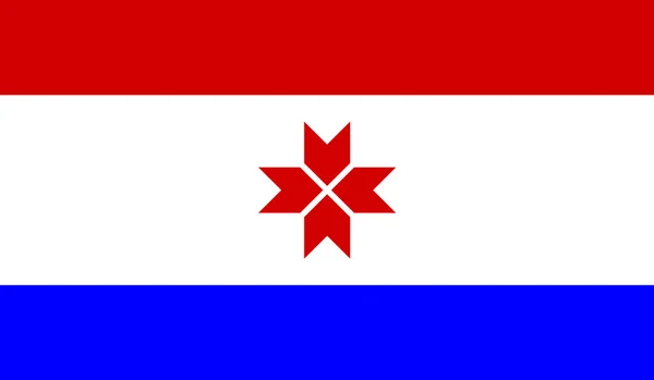 Mordovië vlag — Stockvector