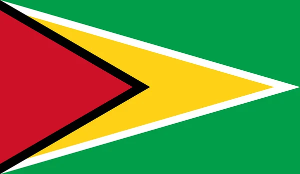 圭亚那国旗 — 图库矢量图片