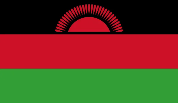 Malawi Flag — Stock Vector