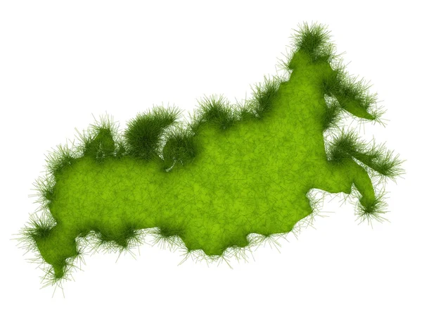 Mapa Rosji trawa — Zdjęcie stockowe