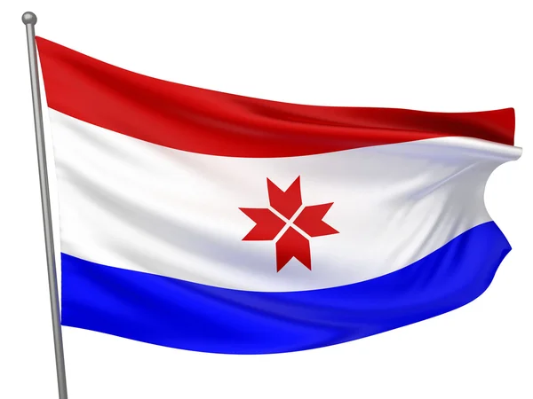 모르도바 공화국 국기 — 스톡 사진