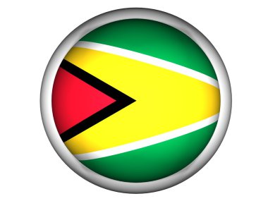 Guyana Ulusal Bayrağı