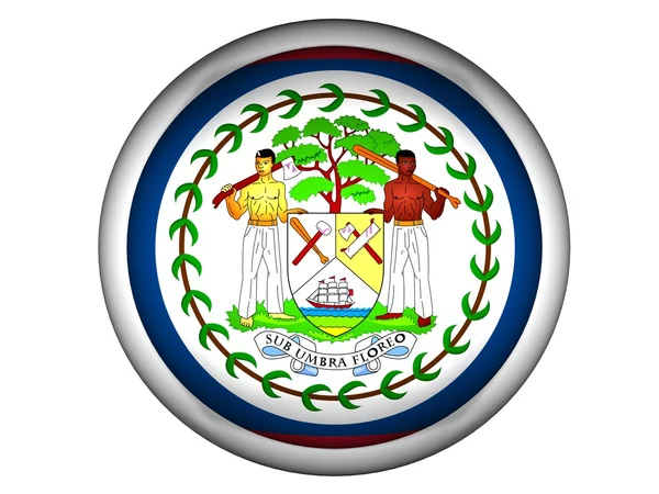 Nationale vlag van Belize — Stockfoto