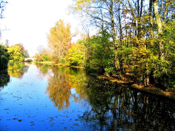 stock image River in autumn