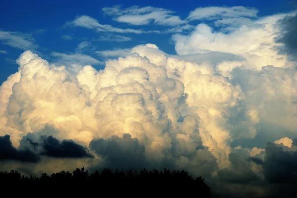 Облако — стоковое фото