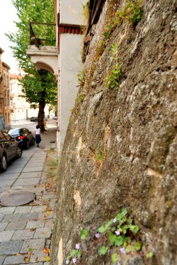 Road-stone laid in an old European city