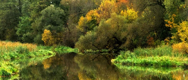 Şehir Parkında Altın Sonbahar