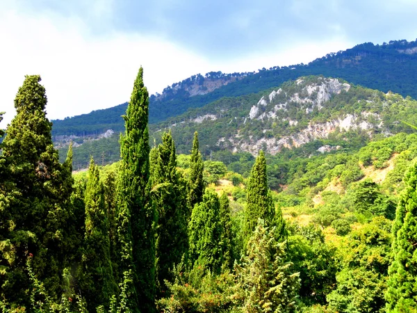 Dağların manzarası