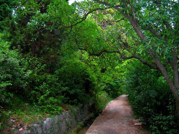 Promenader i botaniska trädgården — Stockfoto