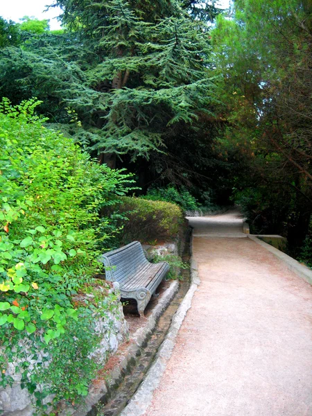 Promenader i botaniska trädgården Royaltyfria Stockbilder