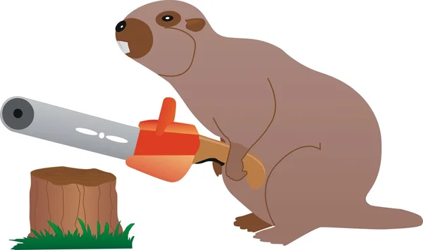 Beaver met chainsaw — Stockfoto