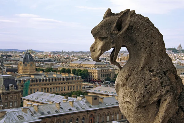 Monstre sur Notre Dame de Paris — Photo