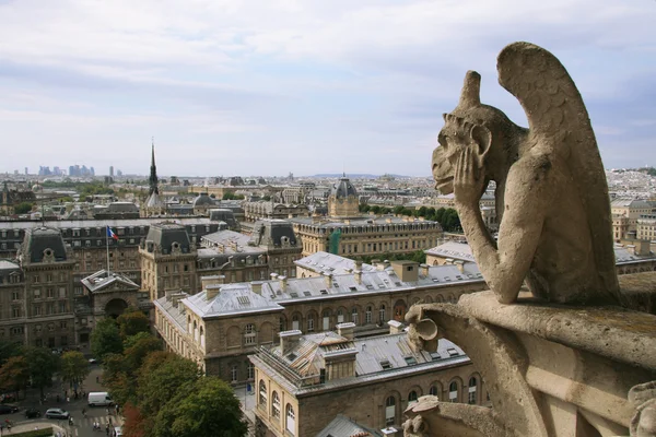 Monstro em Notre Dame de Paris Imagens De Bancos De Imagens