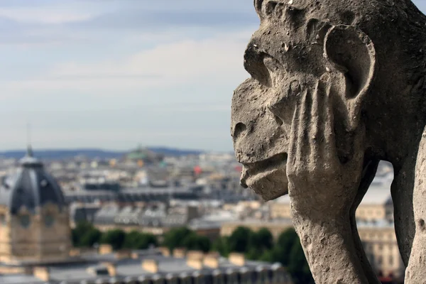 Monstruo en Notre Dame de Paris Fotos De Stock Sin Royalties Gratis
