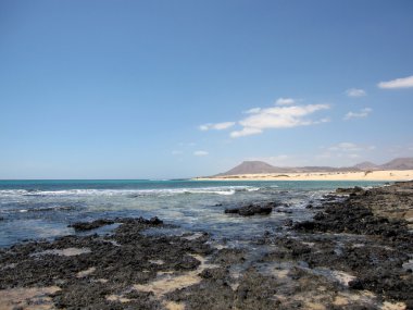 Low Tide On Ocean Beach clipart