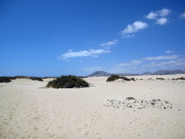 Corralejo tepeleri