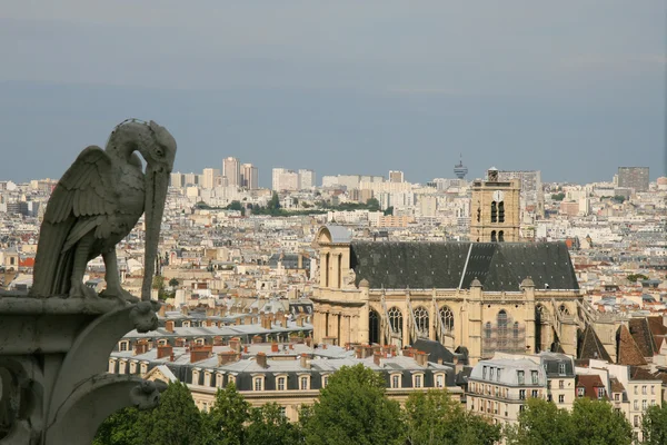 Monstruo en Notre Dame de Paris — Foto de Stock